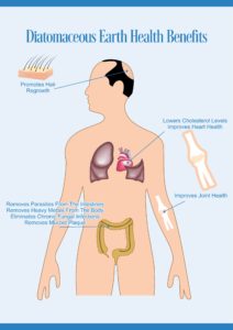 diatomaceous-earth-health-benefits